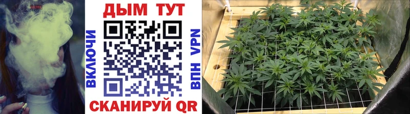 где можно купить наркотик  Юрьевец  Бошки марихуана индика 